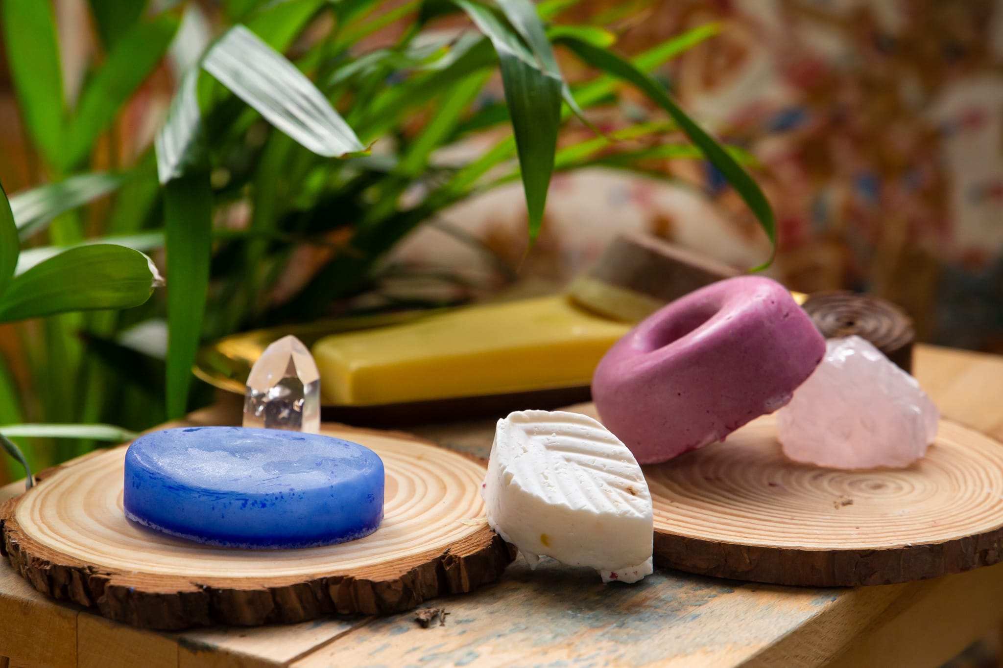 shampoing et cosmétique solide, bio et naturel