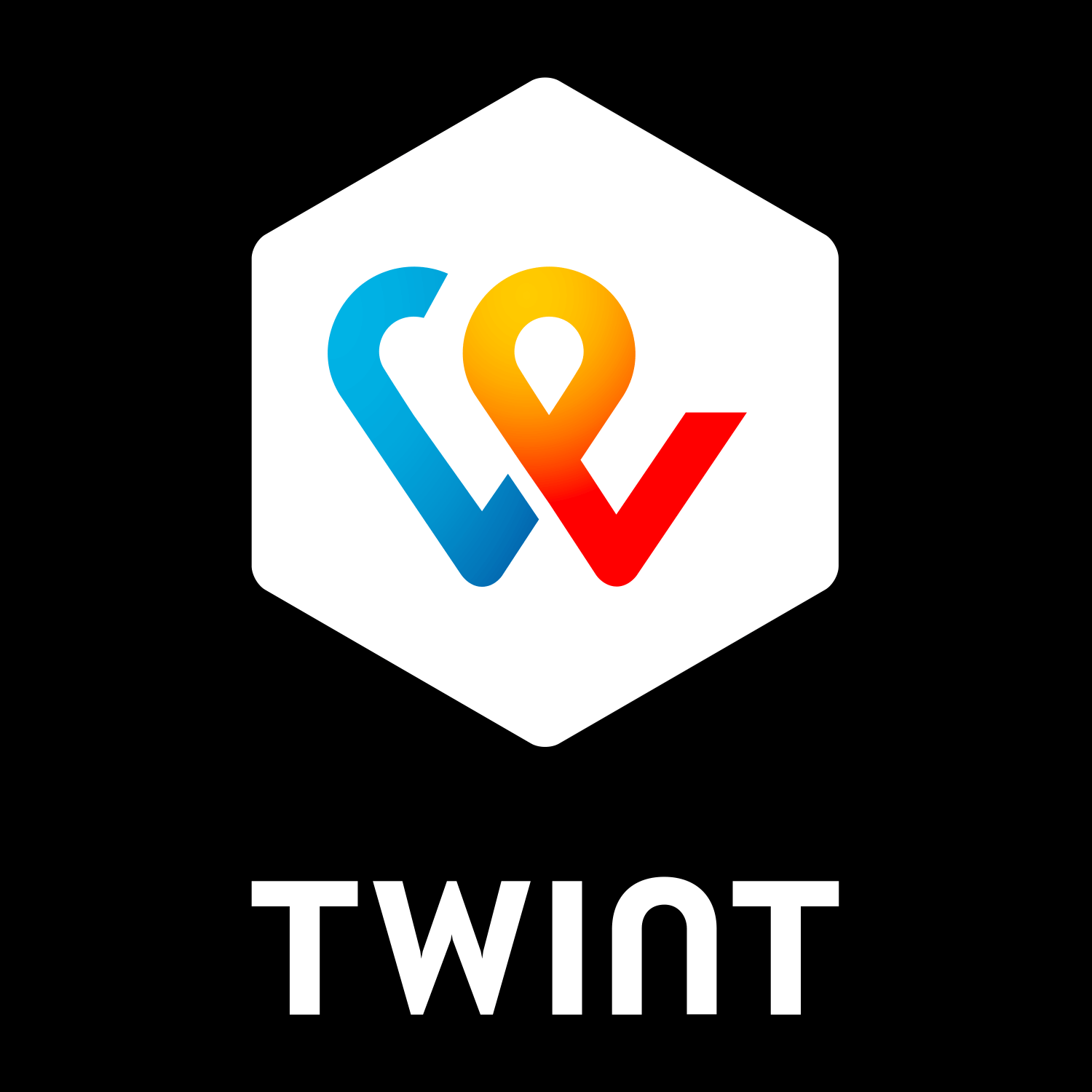 logo de paiement pour Twint pour boutique en ligne de cosmétiques solides